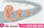 Phòng khám phụ khoa Tiền Giang - Chi phí khám thai bao nhiêu?